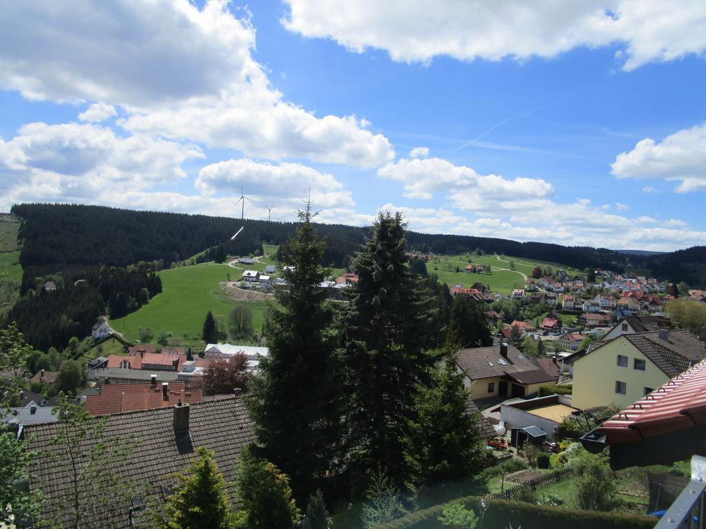 Grubstuben Hotel Schonach im Schwarzwald Kültér fotó